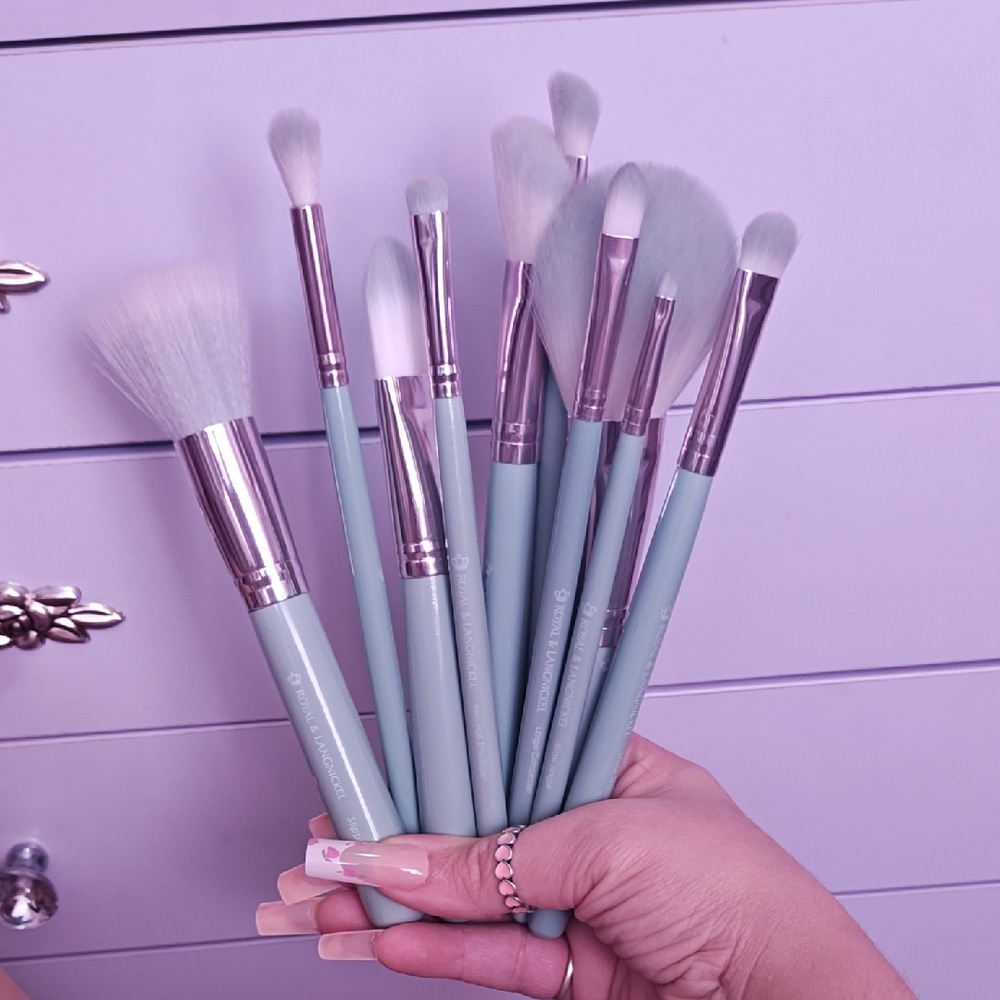NWIT 10 piece Royal & Langnickel Brush Set